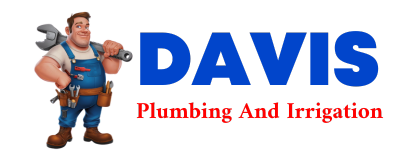 Trusted plumber in FLATONIA